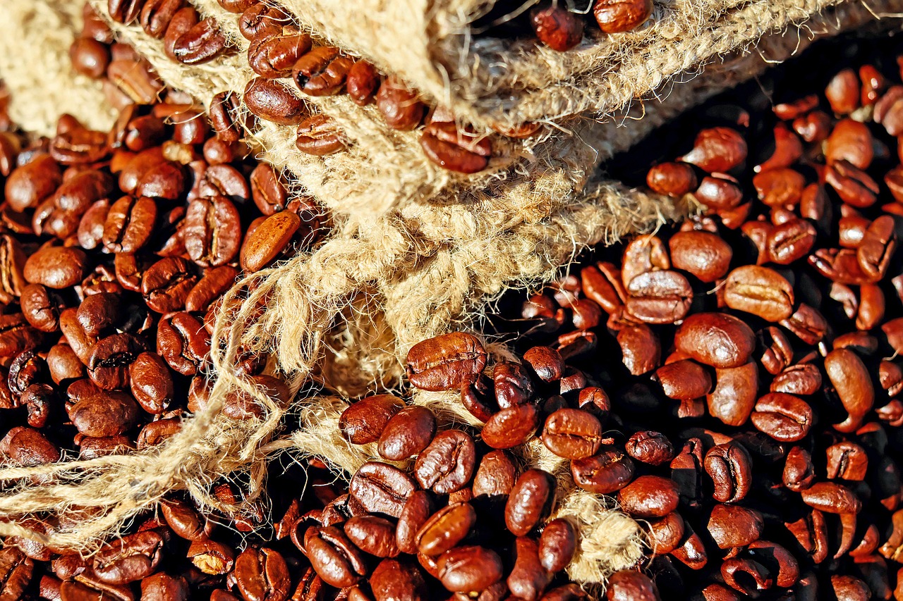 Secado de café al sol