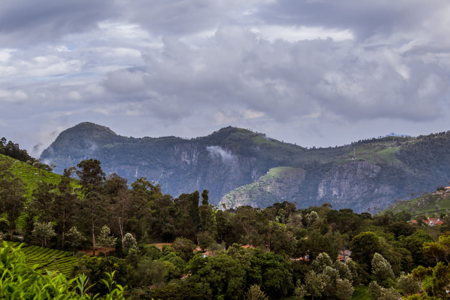 Fincas en las Montañas Altas del Estado Lara Andes de Venezuela