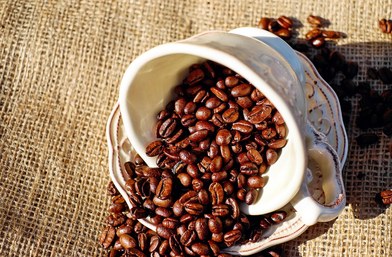 Tueste de Café